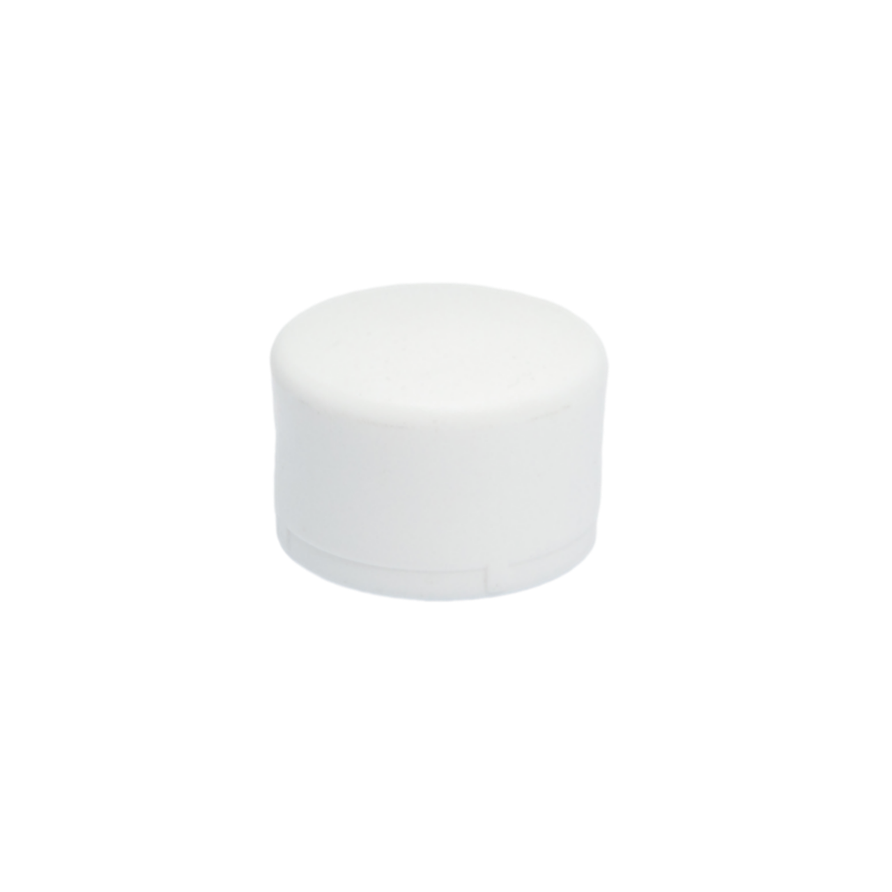 Indesiho Pro white PPR stop end cap 63mm for bathroom pipe fittings and plumbing